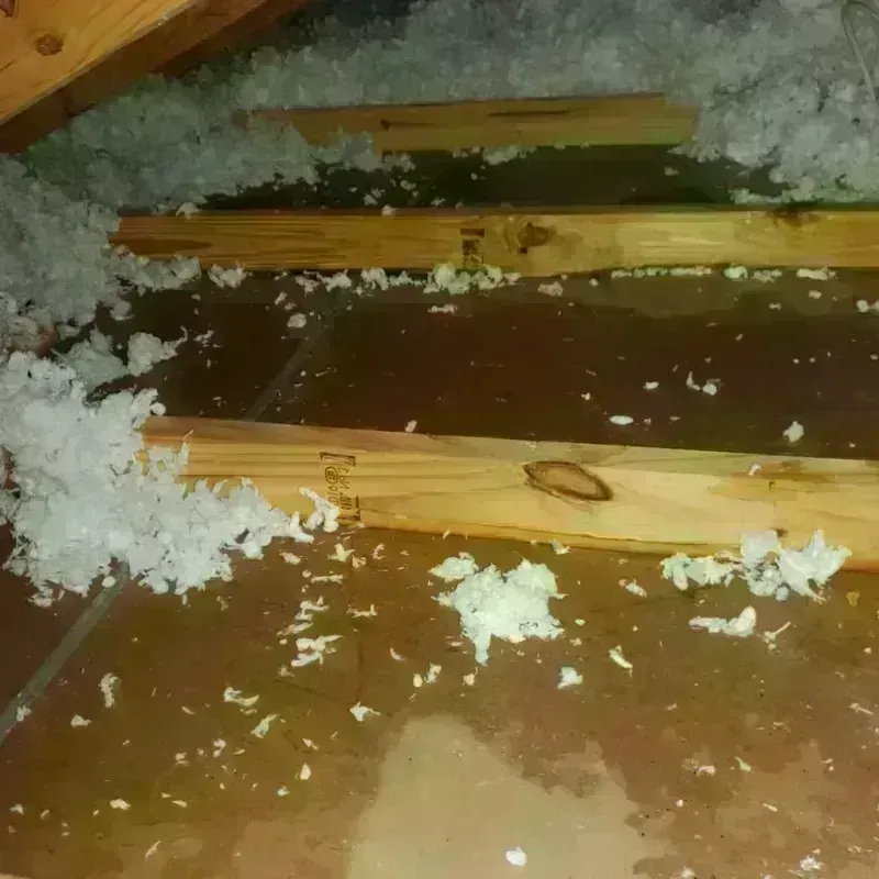 Attic Water Damage in Lorain, OH