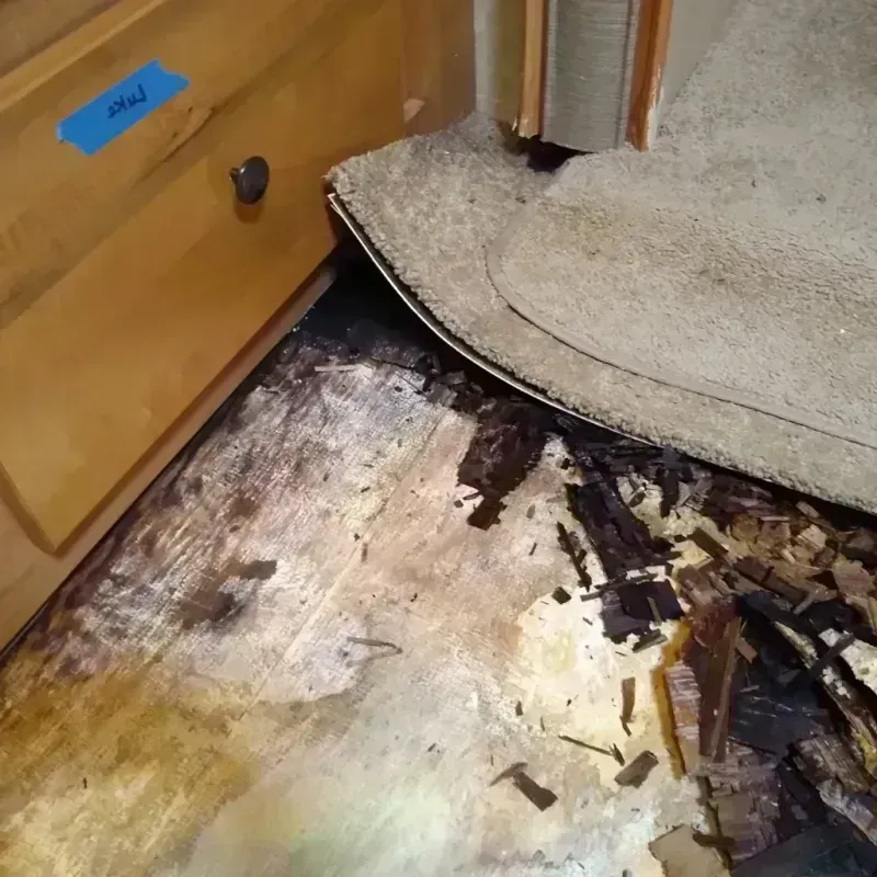 Wood Floor Water Damage in Lorain, OH